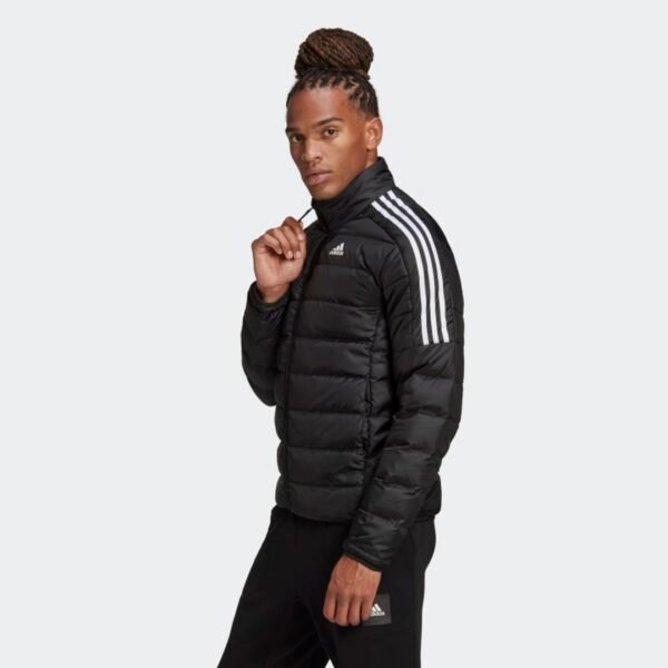 WhatsApp Image 2025-09-24 at 3.54.07 PM